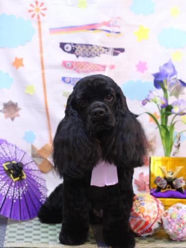 20240501そらくん